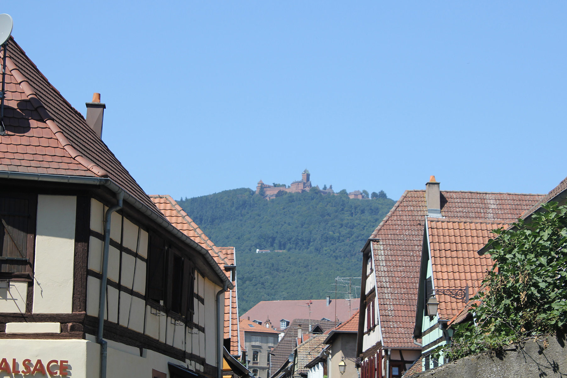 Kintzheim
